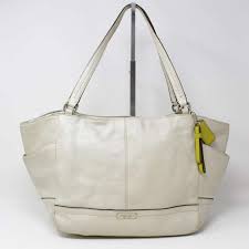 mesh tote bag